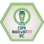 Copa Santa Catarina