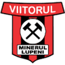 Minerul Lupeni