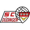 Düdingen