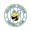 Holyhead Hotspur