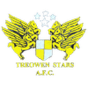 Treowen Stars