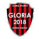 CF Gloria Bistriţa