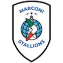 Stallion Laguna W