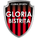 Gloria Bistrita W