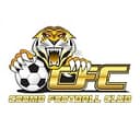 Tigers
