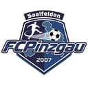 Pinzgau Saalfelden
